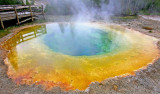 Morning Glory Pool - Upper Basin Area - Yellowstone