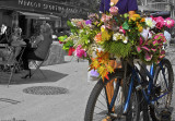 Flower Power