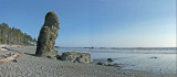 beach near Klaloch, WA