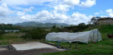 P1050783farm.JPG