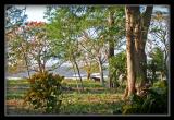 Shore Of Lake Nicaragua