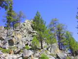 DSC00072b.jpg