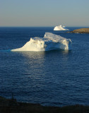 Iceberg 2008 203 - Flatrock, NL