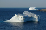 Iceberg 2008 205 - Flatrock, NL