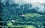 valley view in  fog