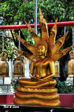 Buddha with 7 headed naga