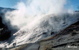 rising steam from hot spring - Yellowstone N.P.