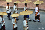 gold umbrellas in a row