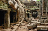 omigosh !! - Ta  Phrom