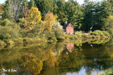 lake reflection - Vermont