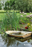 boat and sheep pasture