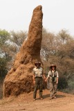 See how tall the termite mounds can grow?