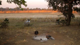 Breakfast fixings at bush camp