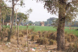 Wheat fields in the distance