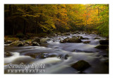 Elkmont