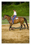 _MG_3867 Edit from RAW sized.jpg