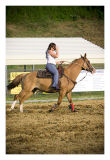_MG_3878 Edit from RAW sized.jpg