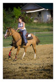 _MG_3883 Edit from RAW sized.jpg