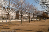 Jardin des Tuileries-4