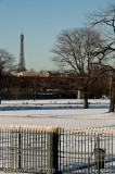 Jardin des Tuileries-7