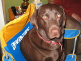 Charger Luke Dec 2008