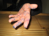 A Third Bob, Susans Bob... had been working with Glue