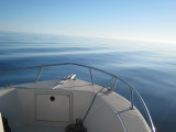 A Perfect Fishing Day on the Sea of Cortez - NO WIND