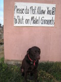 Our Dog, Luke, Is Not Happy About This - Camping Overnight in El Rosario