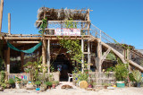 Pancho Villas