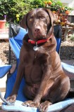 Luke in June 2009