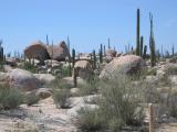 Big Rocks in Catavina