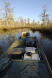 Sunrise on a Very Cold Bayou LaBranche