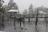 The Snowstorm of December 2008