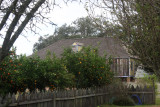 Laura - Citrus trees and cypress picket fence surrounding kitchen garden