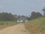 Riverlake Plantation House - the back seen through the cane fields