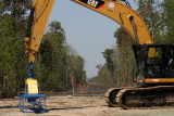 Cypress Trees lost to Pipeline