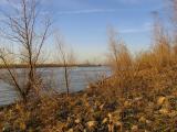 Evening Light on the Mississippi River