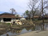 Across the Street From 17th Street Canal Floodwall Breach