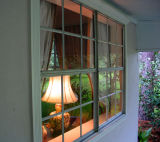 Reflection in My Window