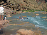 Train Running the Aquamarine Colored Little Colorado, at Mile 62