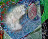 Crystal projection