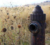 Abandoned Hydrant