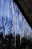 icicles.jpg