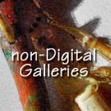 Non-Digital Galleries