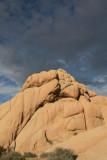 Joshua Tree