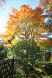 Japan - Hakone Zen Garden