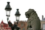 Brugge - Lion