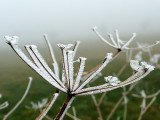 w-1000360.jpg