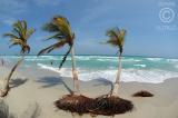 Isla de Margarita