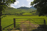A View Near Fell Foot Farm